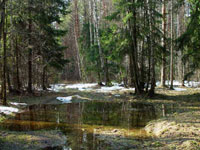 Сроки открытия весенней охоты 2021 на территории РФ