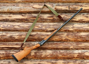 Ружья ТОЗ, ИЖ-43 (МР-43), карабин CZ-452, а также осенне-зимняя охота по перу. Рябчик