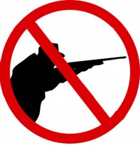 Губернатор Приморья запретил охоту в крае