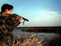 В семи хозяйствах Челябинской области временно запретили охоту