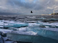 Выход на лед в Финском заливе запрещен