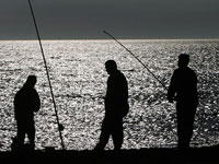 В Новосибирской области запрещена рыбалка