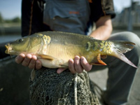В Краснодарском крае начали действовать весенние ограничения на рыбалку