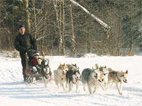 В Якутии принят закон об охотничьем собаководстве