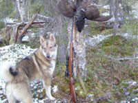 Сроки открытия весенней охоты 2012