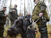 В Томске предложили запретить охотиться неплательщикам алиментов