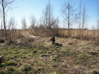 Сроки открытия весенней охоты 2015 на территории РФ